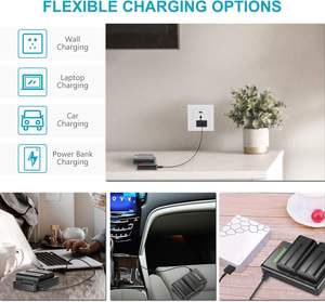 Chargeur de batterie <span class=keywords><strong>NEEWER</strong></span> pour <span class=keywords><strong>Sony</strong></span> NP-F550, compatible avec les accessoires d'appareil photo NP-F970 F750 F770 - Product Image 2