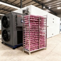 Machine de séchage alimentaire à commande PLC Hello River pour herbes, fleurs (camomille, lavande, jasmin) et fruits (thym, rose, safran)