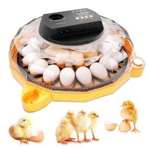 <span class=keywords><strong>Incubateur</strong></span> à œufs portable à grande capacité, 26 œufs, avec retournement automatique des œufs et contrôle de la température, idéal pour l'école, le laboratoire et la maison - Product Image 1