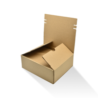 "Logo Personnalisé Ondulé Auto-scellant Postal Zipper Mailing Kraft Mailer Boîtes Adhésif Tear Strips Shipping Zipper Box"