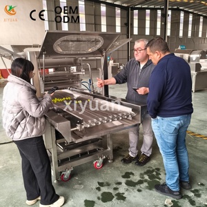 Macchina Multifunzionale Commerciale per Rivestimento di Cioccolato e Refrigerazione, per la Produzione di Frutta Secca, Snack Soffiati, Uva e Verdure - Product Image 6