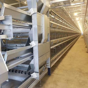 Completamente automatizzato tipo H galvanizzato gabbia di allevamento di pollo batteria ovaio gabbie per allevamenti di pollame - Product Image 5