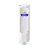 Refroidisseur évaporatif vertical domestique 8A, unité tout-en-un double fonction, mini climatiseur à bloc de glace, purification de l'air, télécommande
