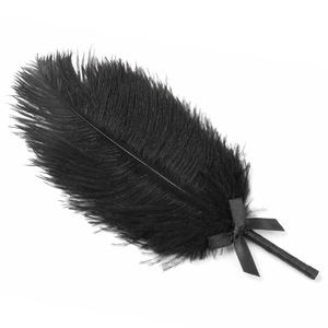 Jouets sexuels pour couples SM, jeux de rôle, flirt, taquinerie, bâtonnet à plumes, fessée, stimulation, taquinerie - Product Image 6