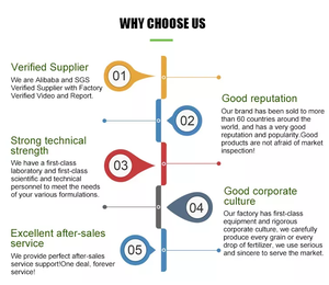 Aditivo alimentario en polvo de quitosano orgánico de alta calidad - Product Image 6