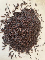 RIZ NOIR Biologique à Grains Longs Tien Giang Durée de Conservation de 2 Ans Nutrition Saine Haute Qualité Emballage en Gros Logo Personnalisé Riz