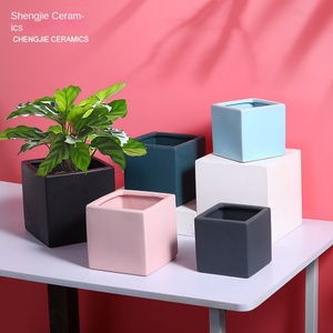 Nordique nordique pour Pot de fleur carré grand <span class=keywords><strong>Cactus</strong></span> charnu créatif Simple <span class=keywords><strong>en</strong></span> céramique <span class=keywords><strong>vert</strong></span> Rose bonsaï ornement de maison - Product Image 3