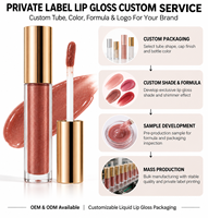 Rouge à lèvres liquide brillant, crème onctueuse, légère, haute pigmentation, longue tenue, étiquette privée, logo personnalisé, vente en gros