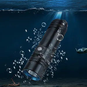 Hohe Helligkeit 800 Lumen tragbare Unterwasser lampe L2 LED Taucht aschen lampe mit Magnetsc halter