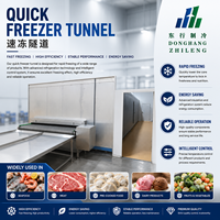 Hoge Efficiëntie IQF Tunnelvriesmachine Continue Blast Freezing Tunnel voor de verwerking van vis & vlees