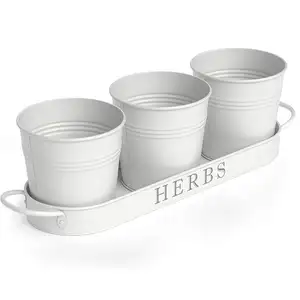 Venta caliente barata Cottage White Metal Herb Plant Holder Suculenta Maceta de cerámica para plantas Logo personalizado