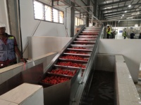 Industriële Tomatenpuree Concentraat Saus Jam Ketchup Puree Making Machine Productielijn Verwerkingsbedrijf