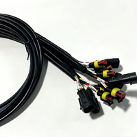 Kabel Harness Otomotif Tahan Air Khusus, Kabel Konektor AMP/Tyco 2 Pin Male-Female, Selubung Kepang untuk Refrigerasi