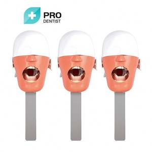 Nieuwe Aankomst Tandmodel Tanden Model Implantaat - Product Image 6