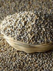 Cereales de Mijo de Grano Pequeño Más Vendidos para Producción de Alimentos Orgánicos, Alimentación Animal y Agricultura Disponibles a un Precio Accesible - Product Image 4