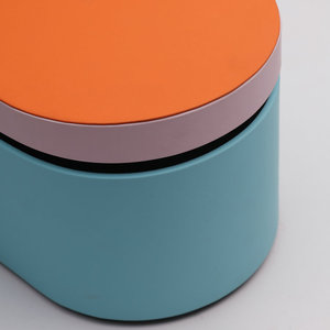 Haute qualité <span class=keywords><strong>DYSON</strong></span> voyage fer à lisser sèche-linge boîte de rangement ovale cadeaux étui avec gaufrage impression fer à friser emballage - Product Image 6
