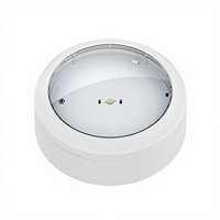 Neue CE-Zertifizierte Lithium-Batterie Kompakte IP65 Notfall-LED-Deckenleuchte 3 Stunden Notbeleuchtungszeit SMD LED 6000K Tageslicht