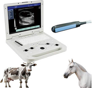Eur Dierenarts Fabriek Prijs Dierlijk Diagnostisch Apparaat Veterinaire Apparatuur Kleur <span class=keywords><strong>Doppler</strong></span> Ultrageluid Diagnostisch Systeem Voor Dieren - Product Image 5
