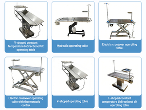 Mesa Quirúrgica Veterinaria Eléctrica Virant VM-VOT con Elevación Hidráulica, Mesa de Examen y Operaciones de Acero Inoxidable <span class=keywords><strong>para</strong></span> <span class=keywords><strong>Perros</strong></span>/Gatos/Conejos - Product Image 6