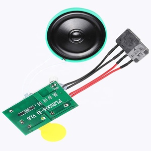 Biglietti Registrabili, Regali Personalizzati con Registrazione Vocale Chip di Registrazione Audio 60s Modulo per Biglietti d'Auguri Fai-da-Te - Product Image 2