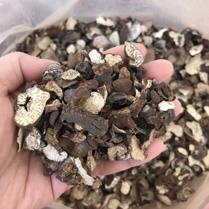 9016 गीत लू स्वास्थ्य खाद्य ग्रेड मशरूम काले truffles - Product Image 2