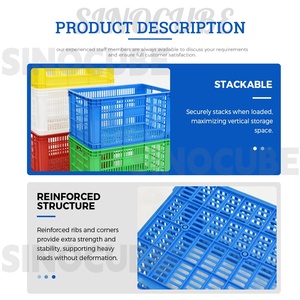 Contenitori Impilabili in Plastica PP Sinocube, Casse Ecologiche Resistenti per Conservazione di Frutta e Verdura, per Supermercati e Magazzini - Product Image 2
