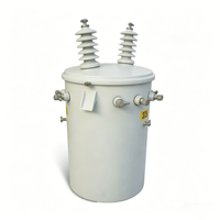 Transformateur monophasé immergé dans l'huile 6KV résistant à la corrosion avec réservoir en acier inoxydable pour distribution d'énergie en île