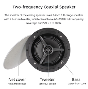 WiFi kablosuz tavan hoparlör dahili amplifikatör desteği WiFi BT5.4 USB Airplay çoklu oda oynatma ev ses sistemi - Product Image 4
