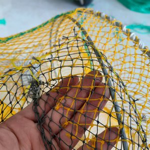 Câu cá ngoài trời dễ dàng mang theo polyethylene lưới cua lồng cho đánh bắt cua và tôm nhựa lưới - Product Image 4