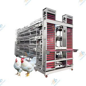 China Farming House Equipment H-Type Layer Chicken Cage para 10000 - Product Image 6