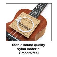 Wholesale Durable Plastic & Nylon Ukulele Strings 4-String Set at Low Price Factory Standard Accessories