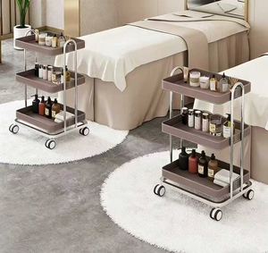 Beauty Cart Modern Professional Hair Salon Nail Tattooing <b>Tool</b> Cart with Light Luxury Iron Mobile Storage Rack - Product Image 5