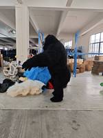 Nouveau Costume de Mascotte Gonflable Gorille Color Block, Déguisement Féroce pour Cosplay, Carnaval, Unisexe Adultes