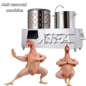Machine Combinée Échauffeuse et Plumeuse pour Volailles (Poulet et Caille) – Système d'Échauffage et de Plumeage 110/220V, Capacité 1000 plumes/heure – Équipement d'Abattage - Product Image 5