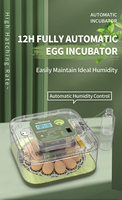 12 œufs de poule marqués CE Mini incubateur entièrement automatique pour la volaille commerciale