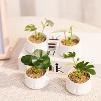 Mini feuille artificielle dans un pot en céramique blanche pour la décoration de balcon de table