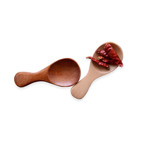 Cuillère à sel miniature en bois biodégradable certifiée FDA LFGB FSC, écologique et élégante, avec logo personnalisé pour épices, sels de bain, café