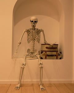 Squelette d'Halloween 165 cm en plastique, squelette humain articulé, décoration effrayante, forme humaine, taille proportionnelle - Product Image 4