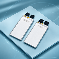 Sel Baterai Semi Solid State 315Wh/kg 35000mAh Densitas Energi Tinggi 3.7V 5C Bersertifikasi Sel & Komponen untuk FPV Cinematic UAV