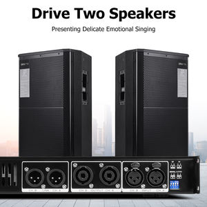 Amplificador Digital Clase D BG2.6 Directo de Fábrica, 2*600W@8ohm 2*900W@4ohm, Equipo de Audio al por Mayor - Product Image 3