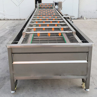 YouBan Multifunctionele Luchtbelwasmachine voor bladgroenten en fruit CE