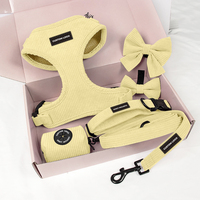 Accessoires pour Chiots Rose Harnais en Velours Côtelé avec Logo en Caoutchouc Personnalisé et Kit Laisse Collier pour Animaux de Compagnie