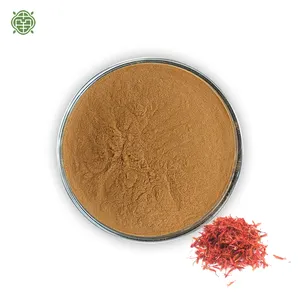 Nanqiao Extrato de cravinho 10:1 em pó para poria 100% natural, antioxidante anti-inflamatório