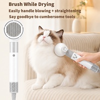 Sèche-cheveux et peigne de toilettage pour animaux de compagnie, silencieux, électrique, en ABS, pour chiens et chats à poils longs