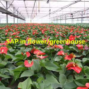 <span class=keywords><strong>Hidrogel</strong></span> Agrícola de Alta Calidad Directamente de Fábrica, Resistente a la Lluvia, para Uso Agrícola, Perú - Product Image 4