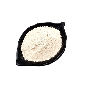 Порошок Шатавари 99% Экстракт корня Шатавари в порошке - Product Image 1