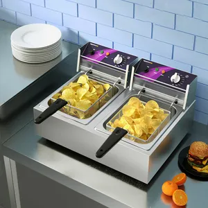 Eencilinder 2500W Dubbele Scherm Elektrische Friteuse Friteuse Friteuse Friteuse Frietjes Kip Keukenapparatuur Voor Restaurant