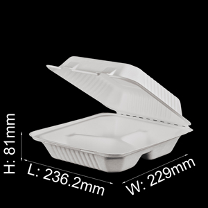 Bagasse Pizza Box Bagasse Lunch Box Disposable Sugarcane Bagasse Clamshell Take Away Pizza Box Biodegradable Products For Kids Lunch