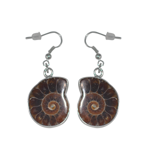 <span class=keywords><strong>Orecchini</strong></span> a conchiglia naturale avvolti in argento a forma di conchiglia <span class=keywords><strong>per</strong></span> donne alla moda stile Charm - Product Image 5