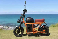 Klasik Retro Şişman Lastikli Elektrikli Bisiklet Geniş Kalın Lastikler Konforlu Şık E-Bisiklet Yeni Enerji E-Scooter Fabrika Direkt Tedarik